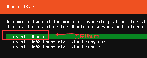 Ubuntu18.10server安装教程3.png