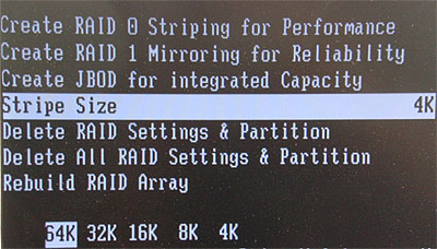 RAIDȫ(ͼʮһ)
